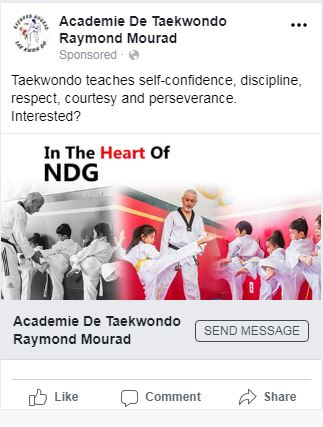 Case Study Academie De Taekwondo Facebook And Instagram Campaign Marchildon Media